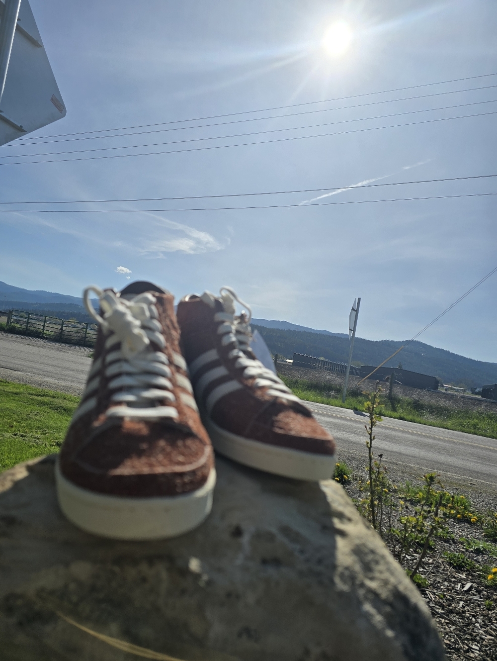 Retro High-Top Sneakers in Brown and White
